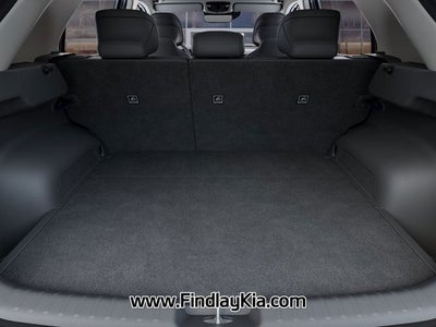 2025 Kia Niro EV Wave