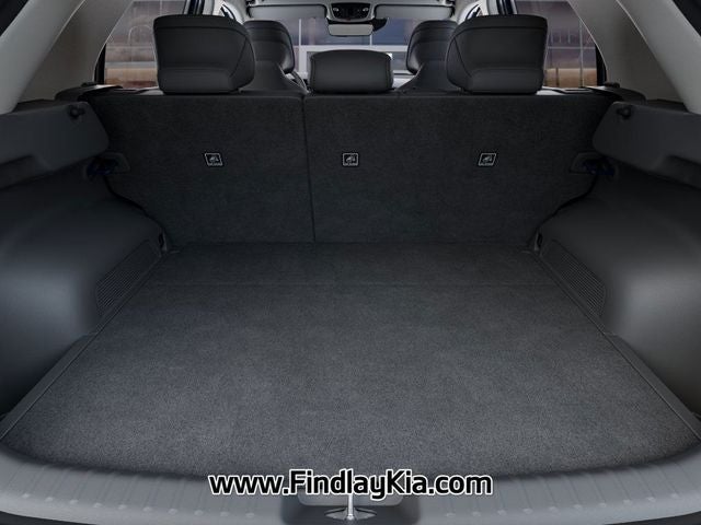 2025 Kia Niro EV Wave